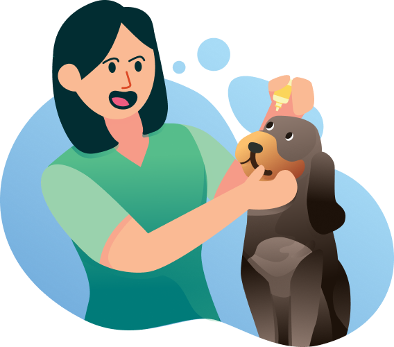 image-pet-care